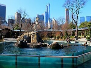 Central Park Zoo Tickets